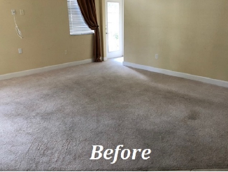 Before photo of Carpet in Orlando, FL Before photo of Carpet in Orlando, FL