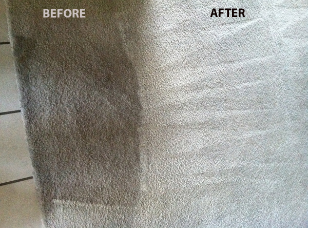 Before and After photo of Carpet Cleaning in Orlando, FL Before and After photo of Carpet Cleaning in Orlando, FL