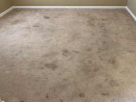 Carpet Cleaning Services in Orlando, FL Carpet Cleaning Services in Orlando, FL