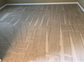 Carpet Cleaning in Orlando, FL Carpet Cleaning in Orlando, FL